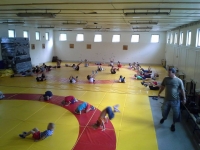 Zalaegerszegi Birkózó Sport Egyesület