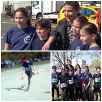 III. kerületi Torna és Vívó Egylet