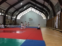 Aikido Újbuda Kör