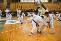 Black Belt Karate-Do SE