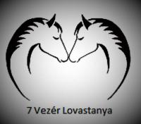 Lovaglás