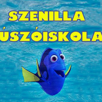 Úszás